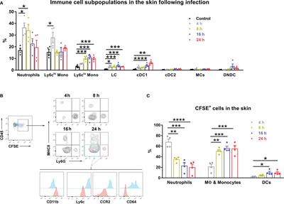 CCR7/dendritic cell axis mediates early bacterial dissemination in Orientia tsutsugamushi-infected mice